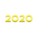 2020 aastal