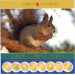 Finland 2 Euro BU Coins Set 2004–2009
