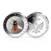 Saksamaa 5 eurot UNC 2023-2 – Putukate imeline maailm – Punane Mason Bee