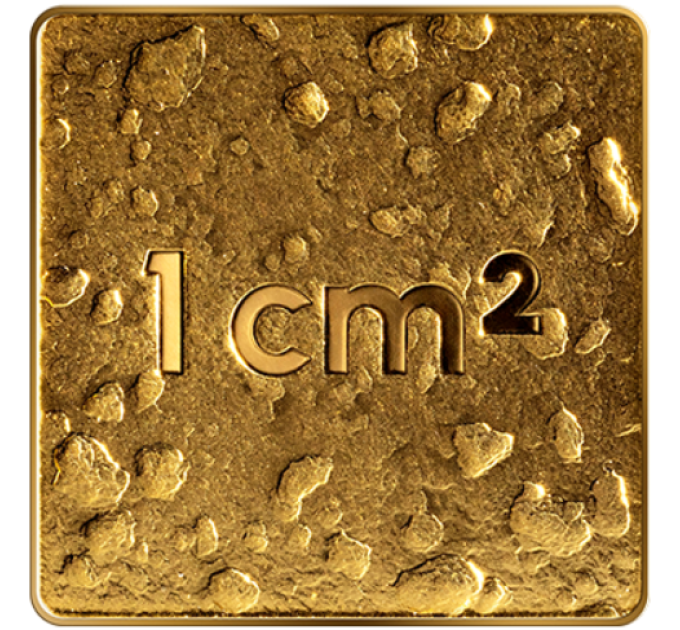 Latvia 5 euro gold proof 2025 - Our Land