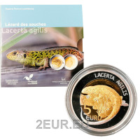 Luxembourg 5 euro silver Proof 2021 - Lacerta