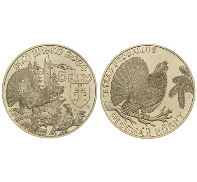 Slovakia 5 euro UNC 2024 - Fauna and Flora in Slovakia - Mountain wood grouse