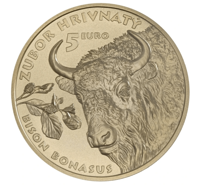 Slovakia 5 euro UNC 2024 - Fauna and Flora in Slovakia - The European Bison