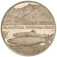 Slovakkia 5 eurot UNC 2025 – Slovakkia loomastik ja taimestik – Doonau lõhe