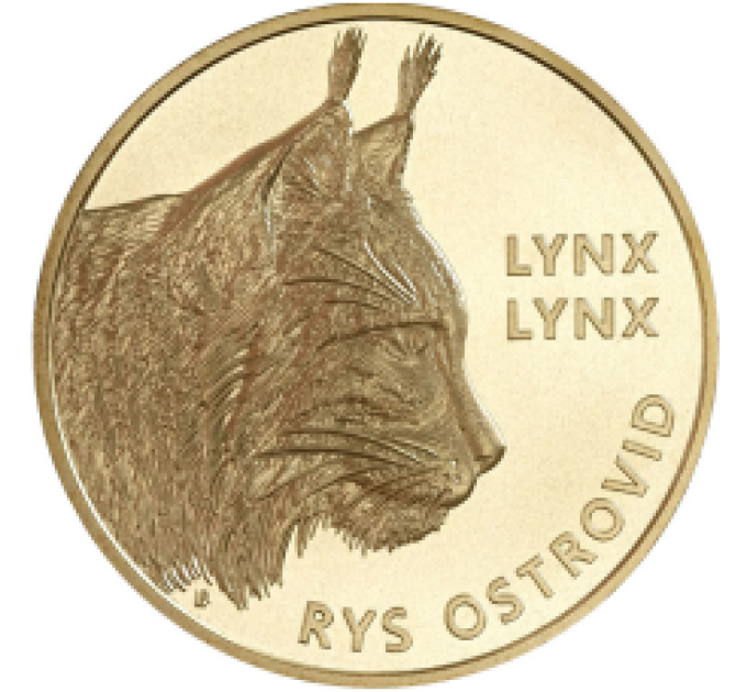 Slovakia 5 euro UNC 2022 - Fauna and Flora in Slovakia - Lynx