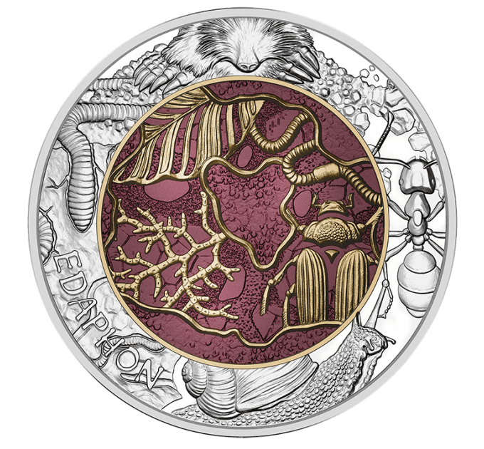 Austria 25 euro Silver Niobium Coin 2024 - Edaphon