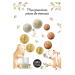 France FDC set 2026 - Euro coin set