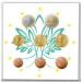 France BU set 2026 - Euro coin set