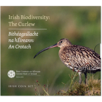 Iirimaa eurokomplekt BU 2024 – Bioloogiline mitmekesisus – Curlew