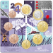 Netherlands Euro coin set UNC 2024